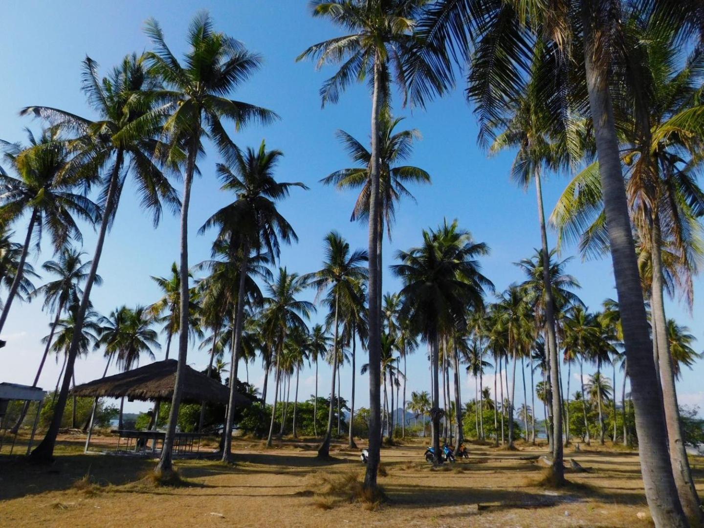 Отель Swiss Bonihouse Koh Yao Yai Ban Phlu Nai Экстерьер фото