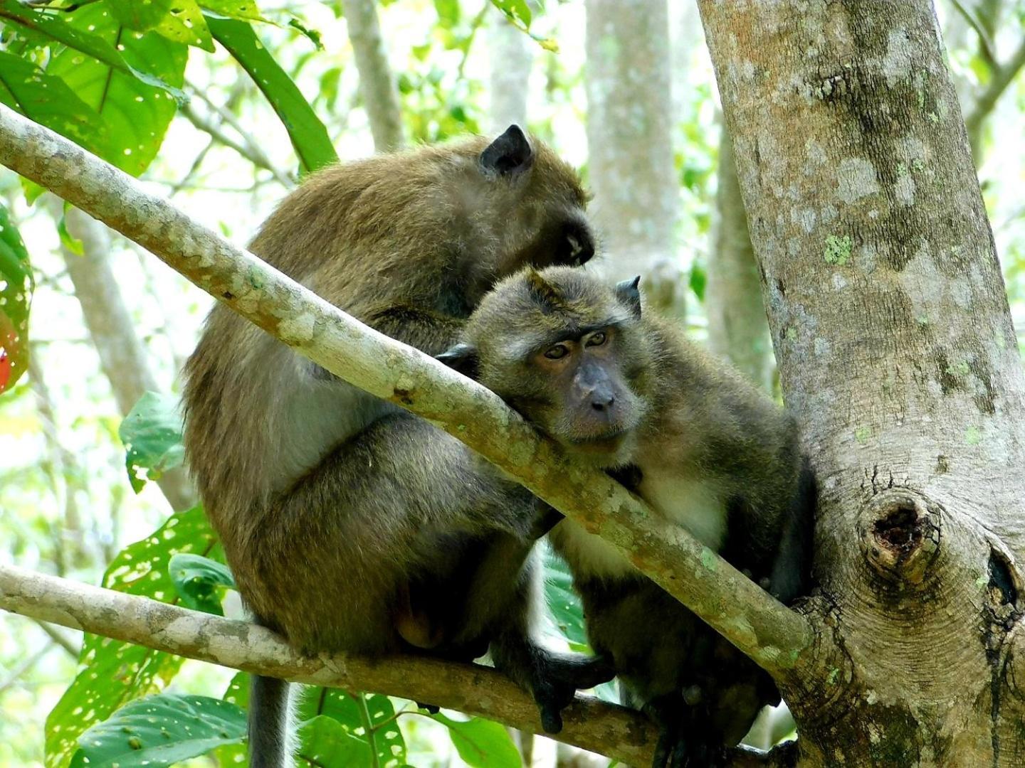 Отель Swiss Bonihouse Koh Yao Yai Ban Phlu Nai Экстерьер фото