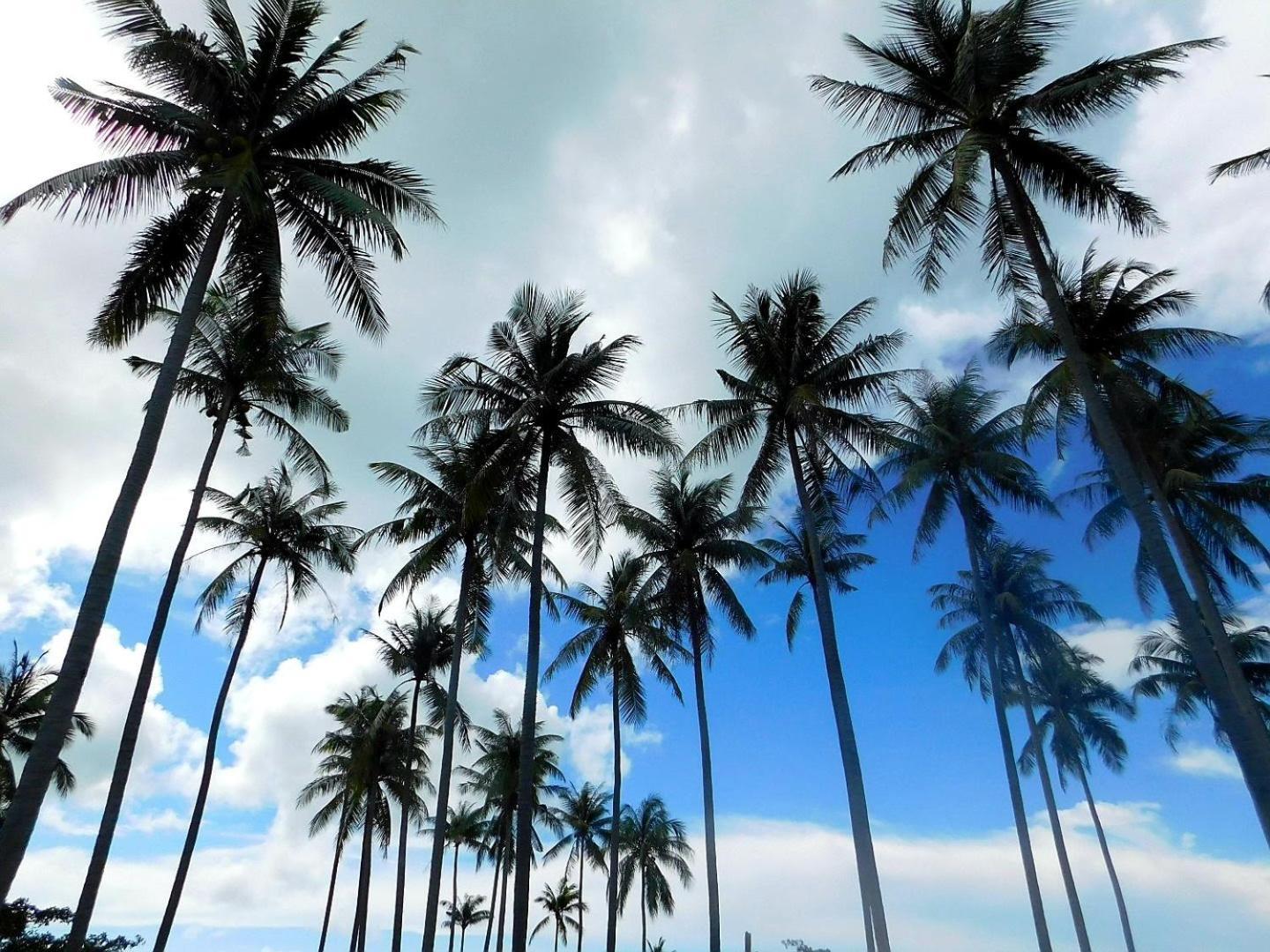 Отель Swiss Bonihouse Koh Yao Yai Ban Phlu Nai Экстерьер фото