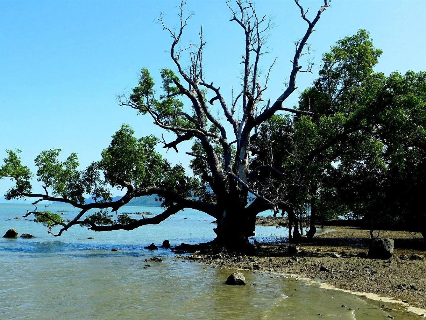 Отель Swiss Bonihouse Koh Yao Yai Ban Phlu Nai Экстерьер фото