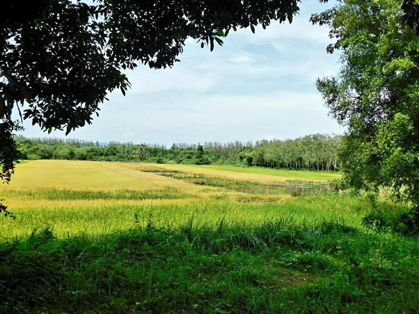 Отель Swiss Bonihouse Koh Yao Yai Ban Phlu Nai Экстерьер фото