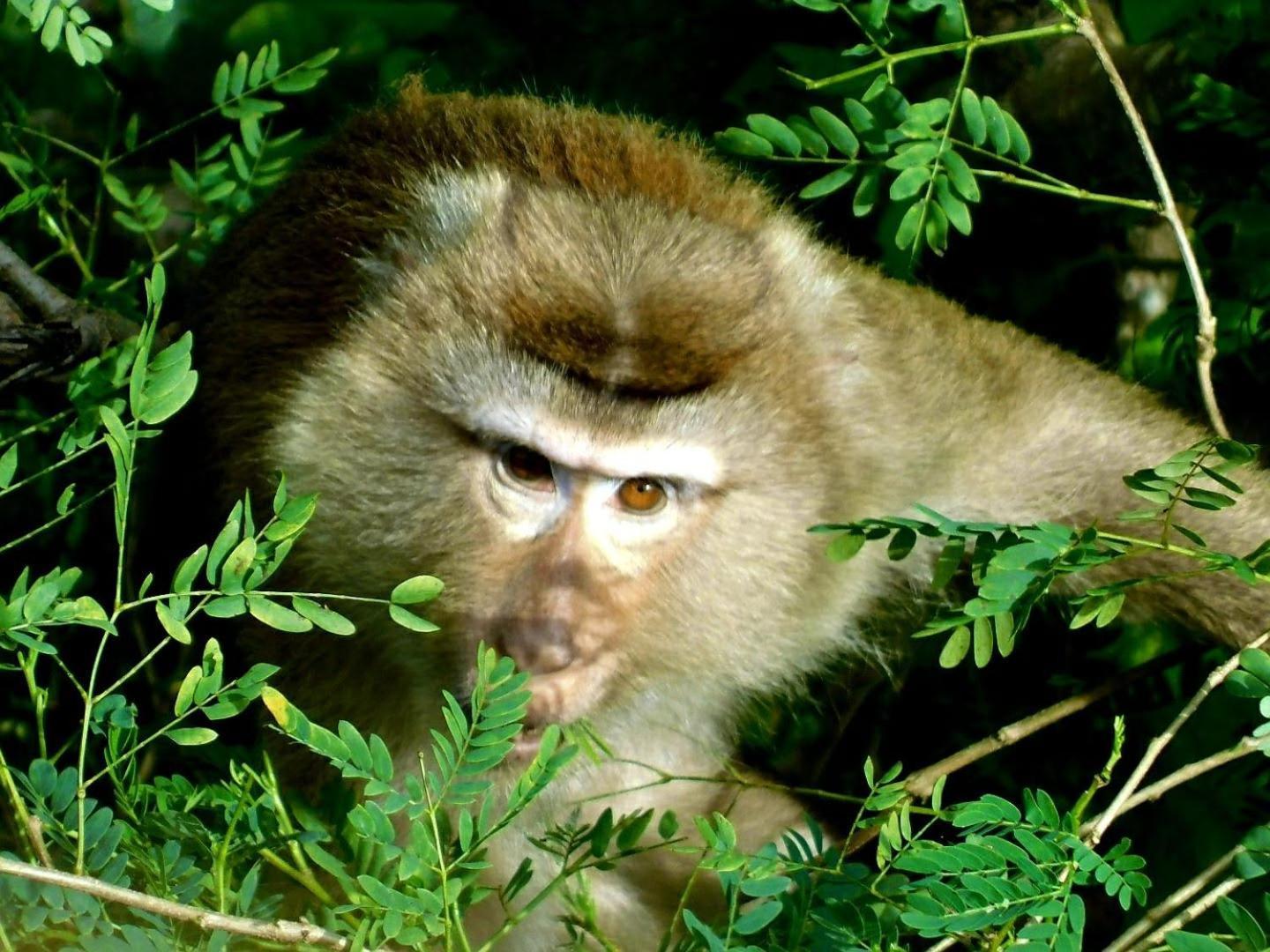 Отель Swiss Bonihouse Koh Yao Yai Ban Phlu Nai Экстерьер фото