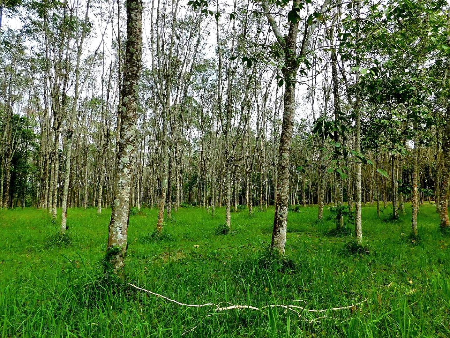 Отель Swiss Bonihouse Koh Yao Yai Ban Phlu Nai Экстерьер фото